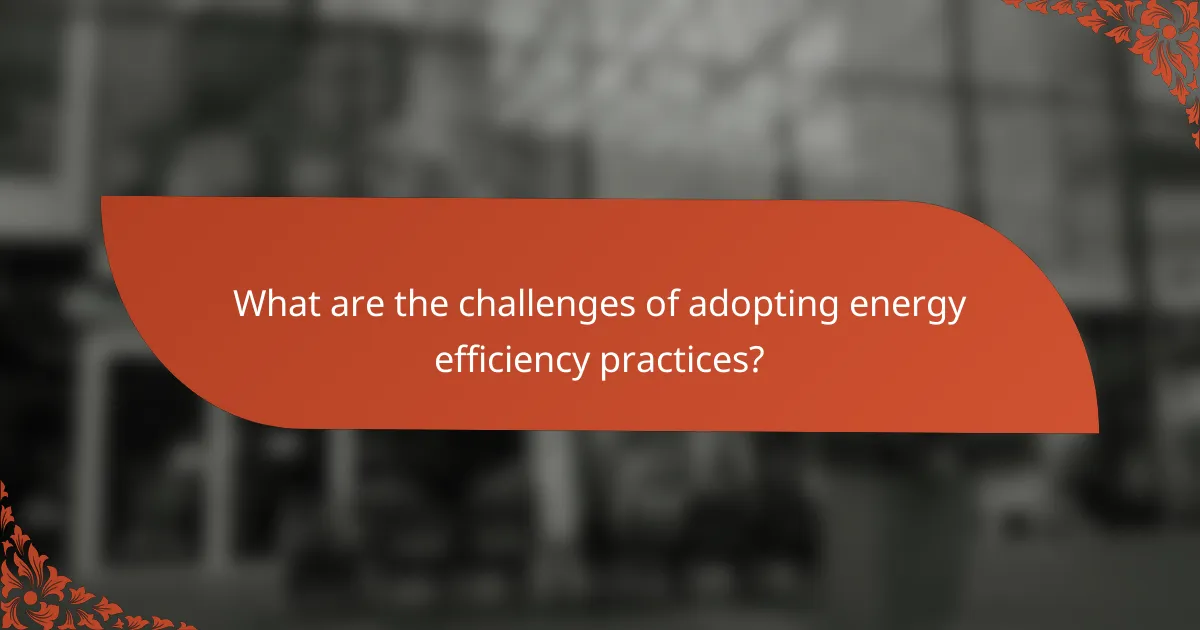 What are the challenges of adopting energy efficiency practices?