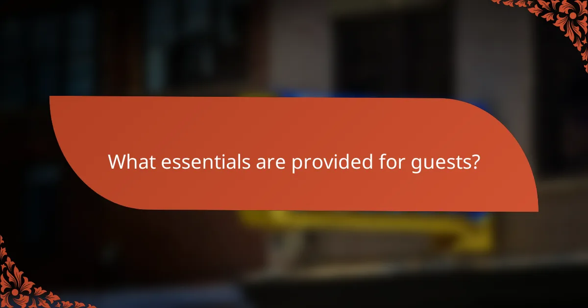 What essentials are provided for guests?